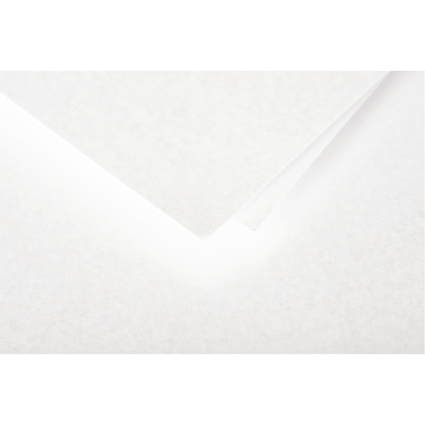 Paquet de 20 enveloppes Pollen 114x162mm 120g blanc irisé