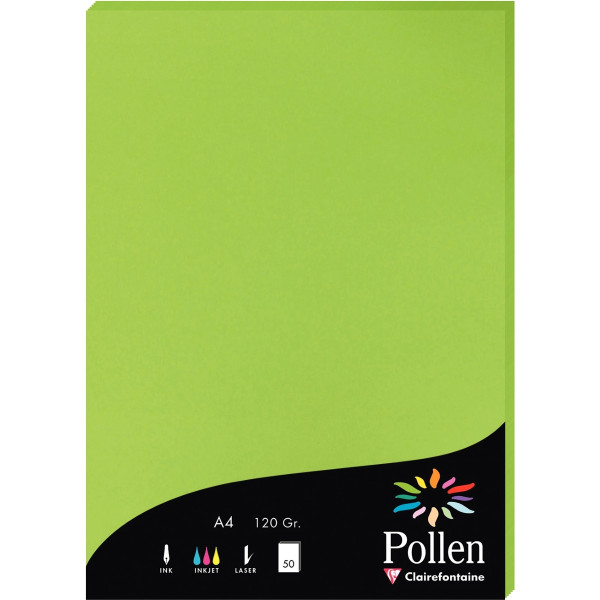 Paquet de 50 feuilles Pollen 210x297mm 120g menthe