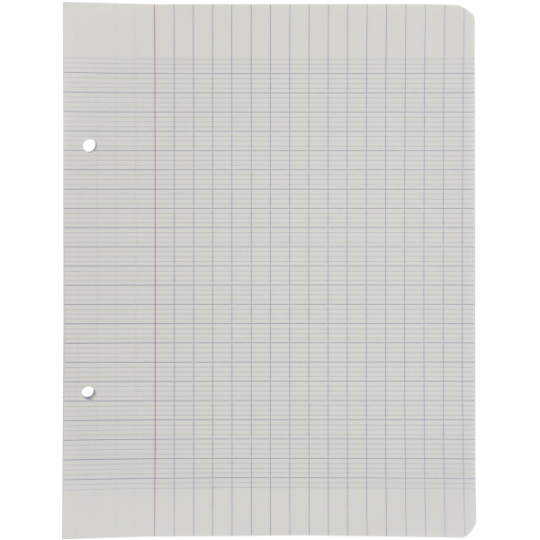 Sachet de 50 feuillets mobiles, format 17x22 cm, seyès, papier 90g, blanc