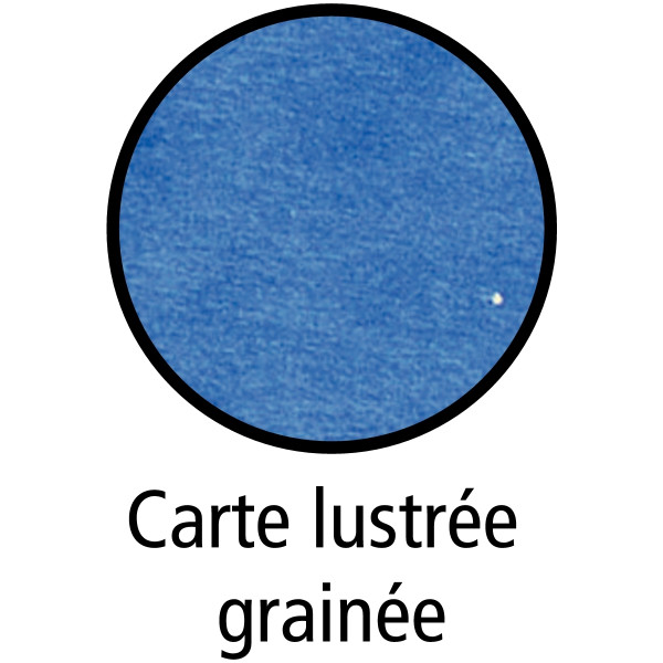 Boîte de classement en carte grainée, dos 4 cm, bleu
