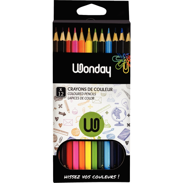 Étui de 12 crayons de couleur assortis