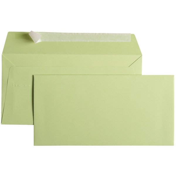 Paquet de 20 enveloppes Pollen 110x220mm 120g vert bourgeon