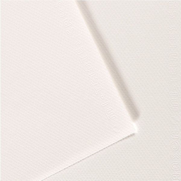 Paquet de 10 feuilles mi-teinte format 50x65cm  blanc