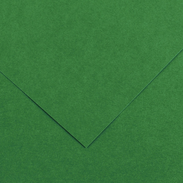 Paquet de 10 feuilles Colorline 50x65 cm 150 g vert mousse
