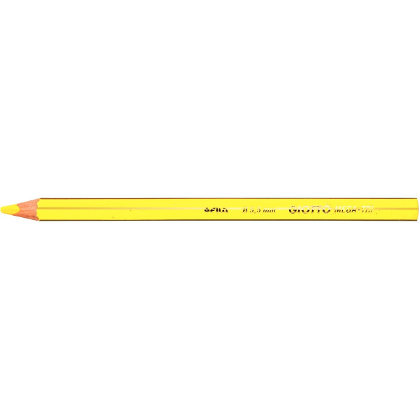 Étui de 12 crayons de couleur Stinovo Maxi