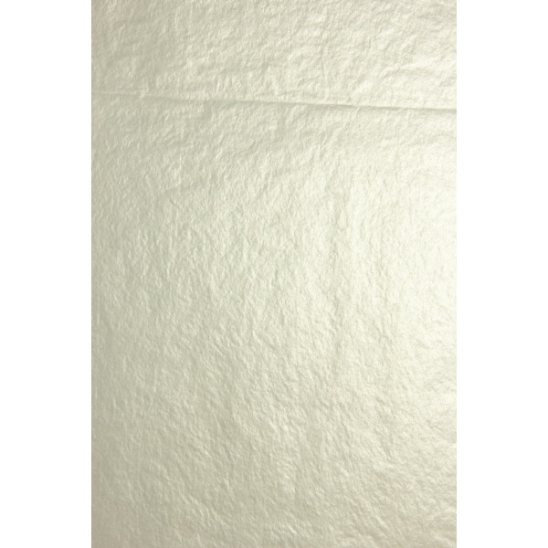 Sachet de 8 feuilles papier de soie 50 x 75 cm couleur argent