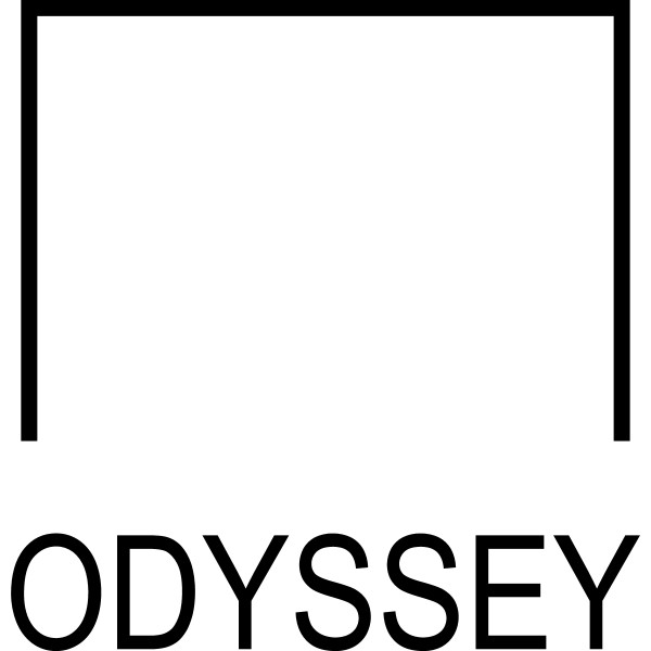 Boîte de 2 500 agrafes Rexel Odyssey