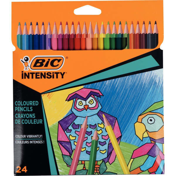 Pochette de 24 crayons de couleur Color Up