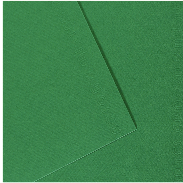 Paquet de 10 feuilles mi-teinte format 50x65cm  vert billard