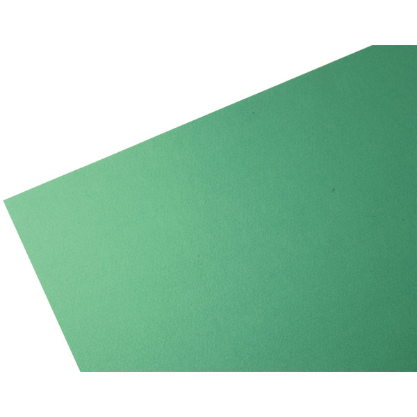 Paquet de 10 feuilles à dessin 50x65cm 160g vert