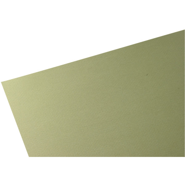 Paquet de 10 feuilles à dessin 50x65cm 160g vert lierre