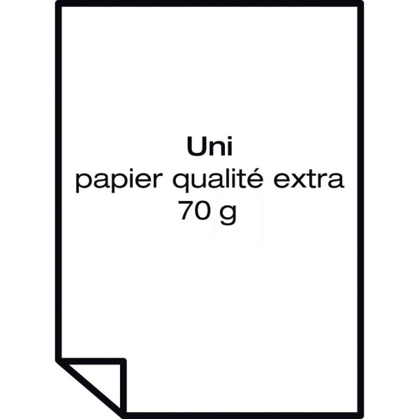 Carton de 5 recharges papier 65x100cm uni 70gr