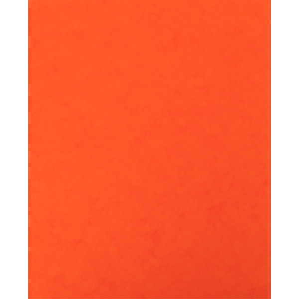 Lot de 10 protège-cahier 2 grands rabats  format 18 x 22 cm carte lustrée coloris orange