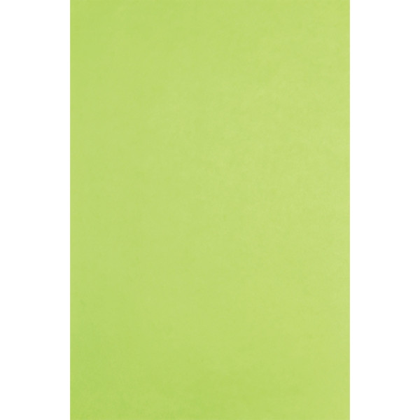 Paquet de 480 feuilles de papier de soie 75x50cm vertes
