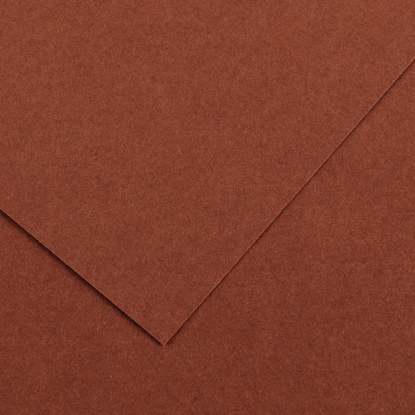 Paquet de 10 feuilles Colorline 50x65 cm 150 g chocolat
