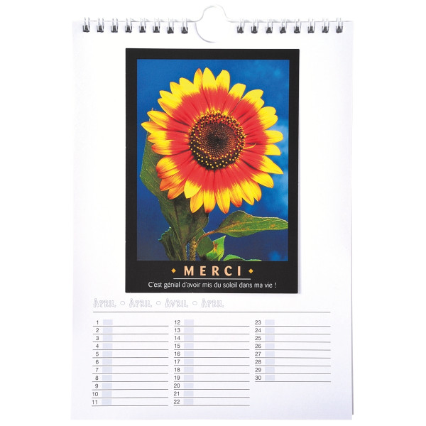 Calendrier à décorer, format 17x24 cm
