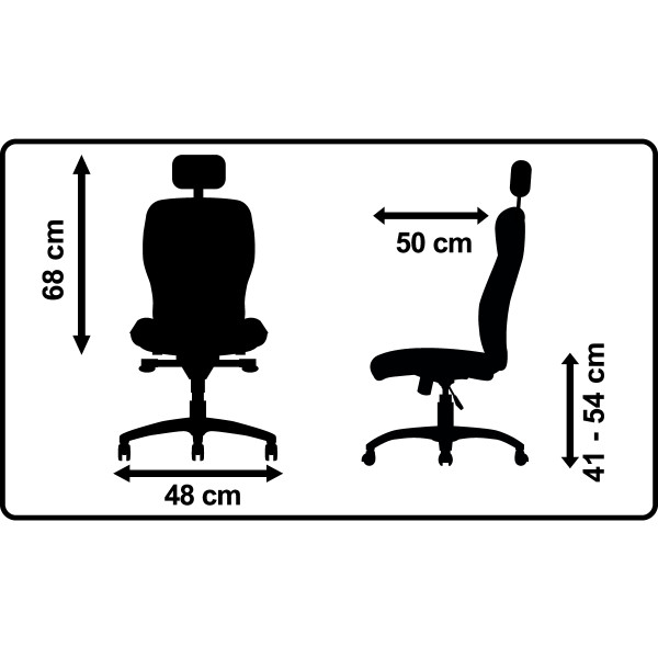 Siège manager ergonomique Moss noir