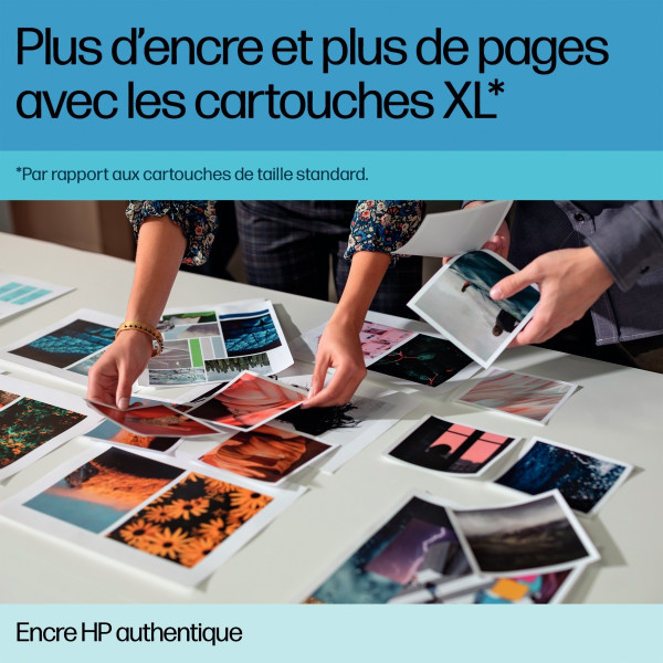 HP 920XL cartouche d'encre magenta grande capacité authentique (CD973AE)