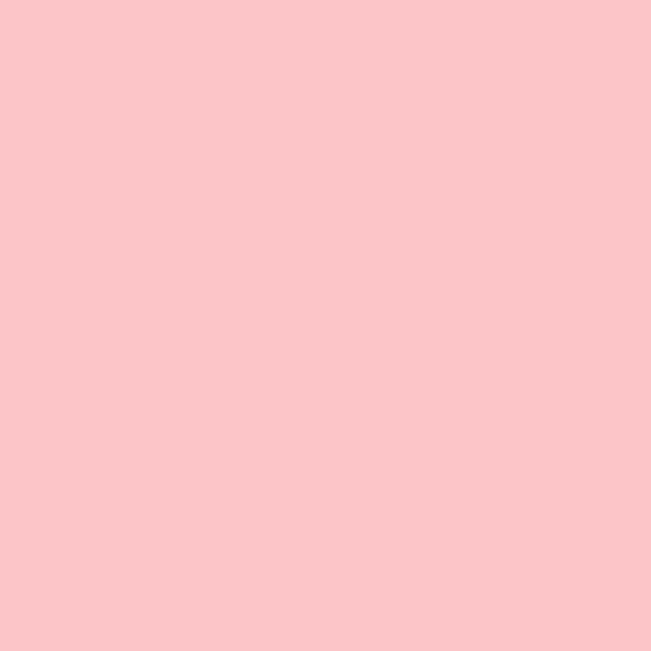 Agrafeuse pince Maxi SP19 20 feuilles rose