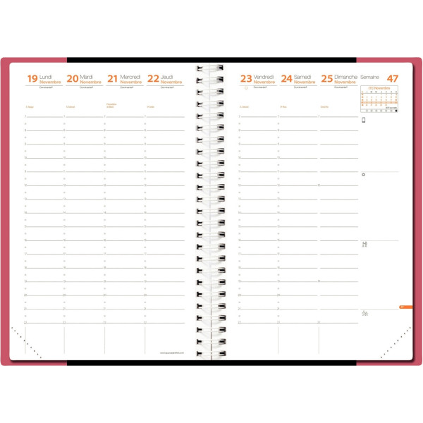 Agenda semainier Time&Life 16x24cm rose irisé