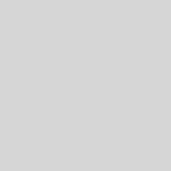Paquet de 100 chemises 170g FOREVER format 24x32 cm, gris