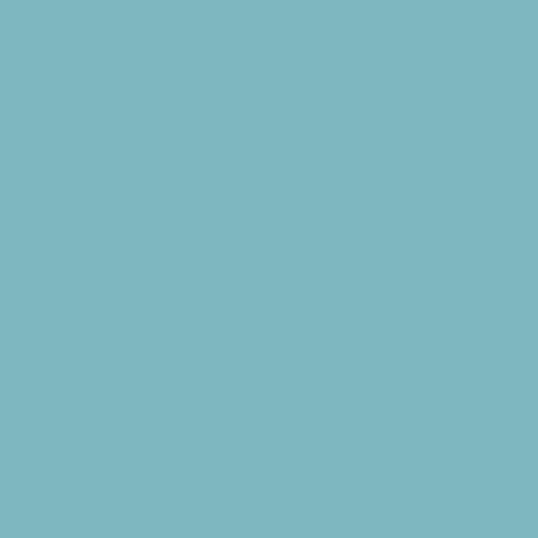 Paquet de 100 chemises 170g FOREVER format 24x32 cm, bleu vif