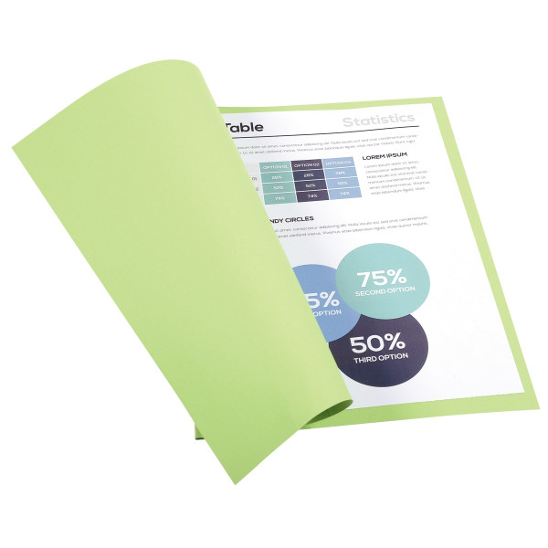 Paquet de 100 chemises 170g FOREVER format 24x32 cm, vert pré