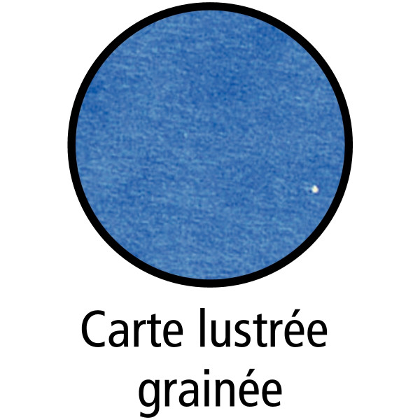 Boîte de classement en carte grainée dos 6 cm, bleu