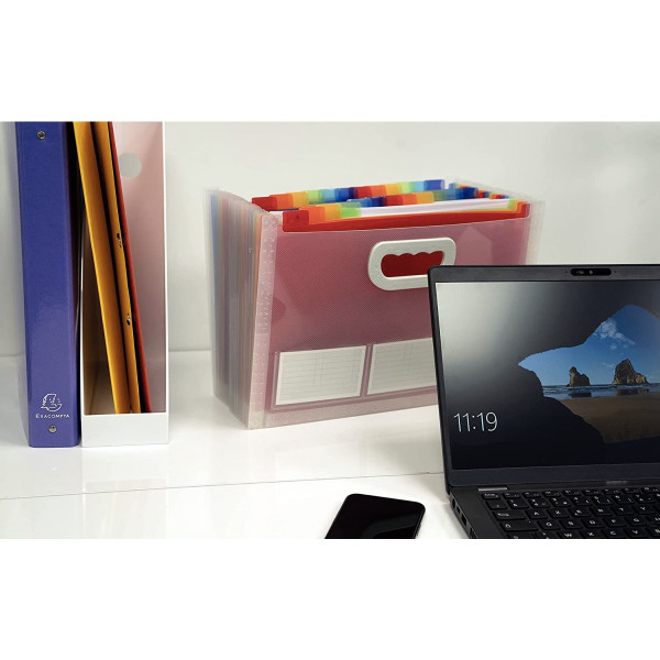 Maxi trieur extensible CRYSTAL en polypropylène avec 2 poignées, 24 compartiments