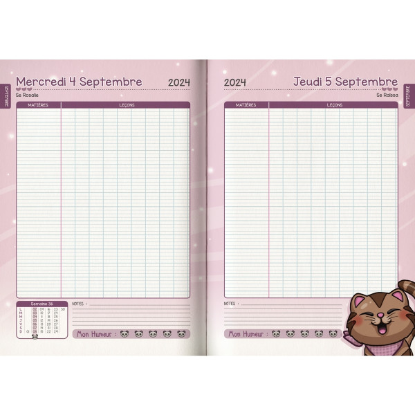 Agenda journalier seyes 12,5x17,5 Pégase