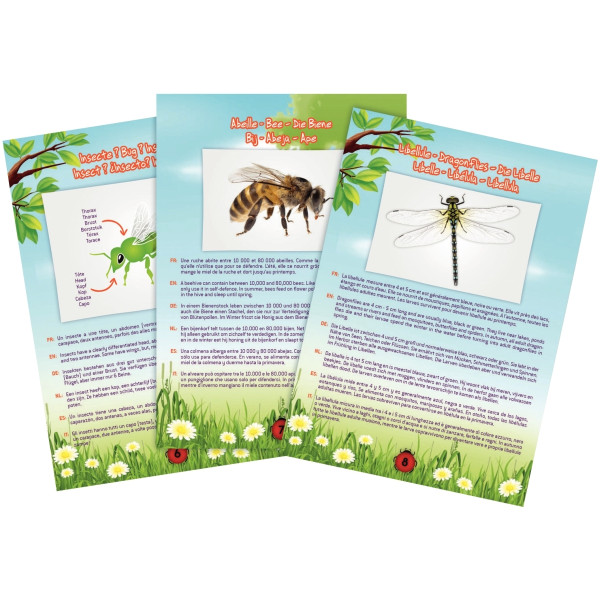 Aspirateur d'insectes