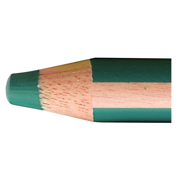 Étui de 10 crayons de couleur Woody + 1 taille-crayon