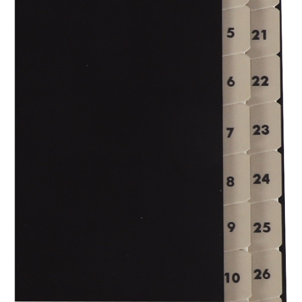Trieur numérique balacron 31 compartiments, noir