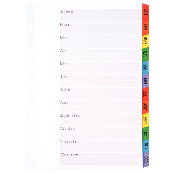 Jeu de 12 intercalaires mensuels en carte Mylar, format A4