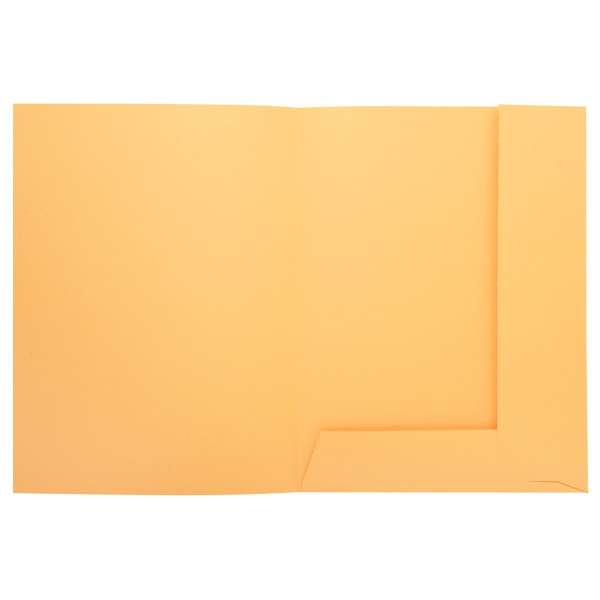 Paquet de 50 chemises 2 rabats SUPER 210g, format 24x32 cm, bulle