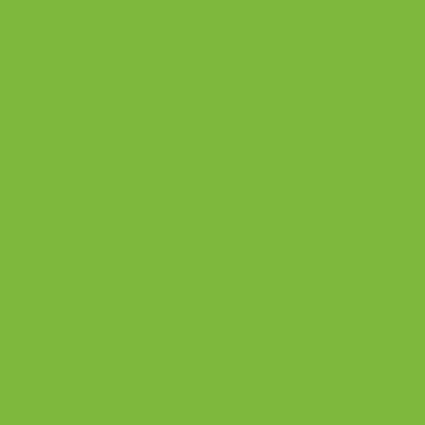 Paquet de 100 chemises 210g ROCK"S format 24x32 cm, vert