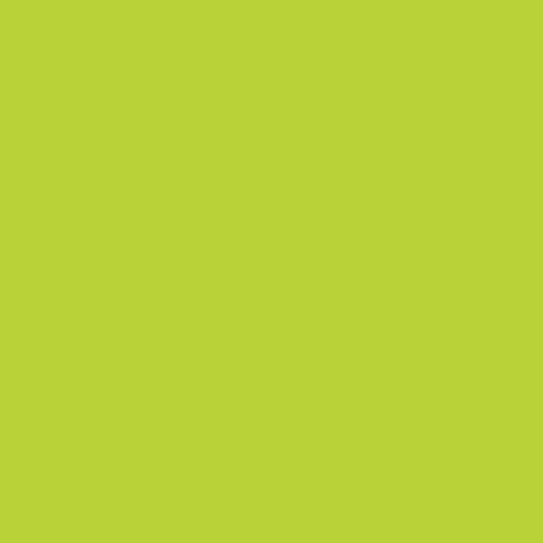 Porte-revues HAPPY vert