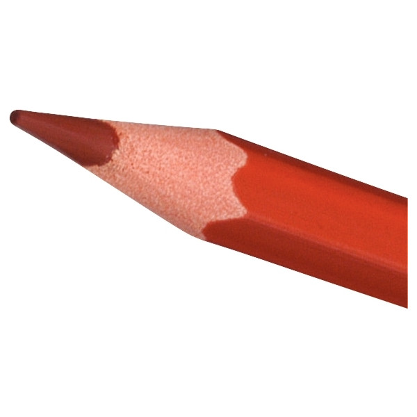 Lot de 12 pochettes de 12 crayons de couleur Évolution dont 3 gratuites