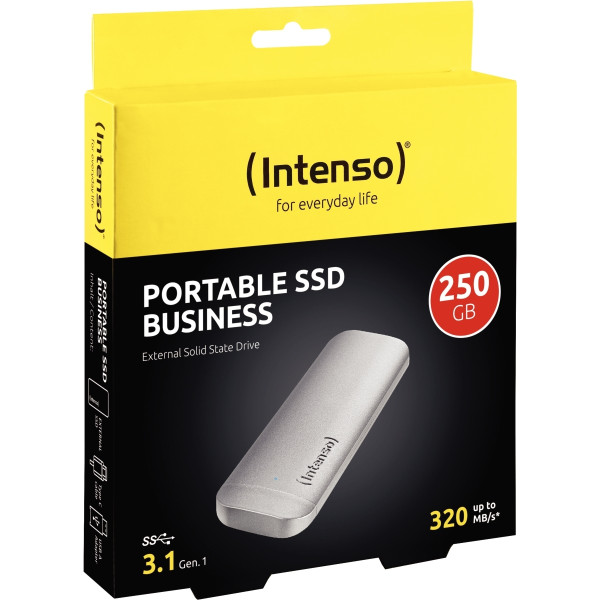 Unité de stockage portable SSD Intenso Business USB 3.1 250 Go
