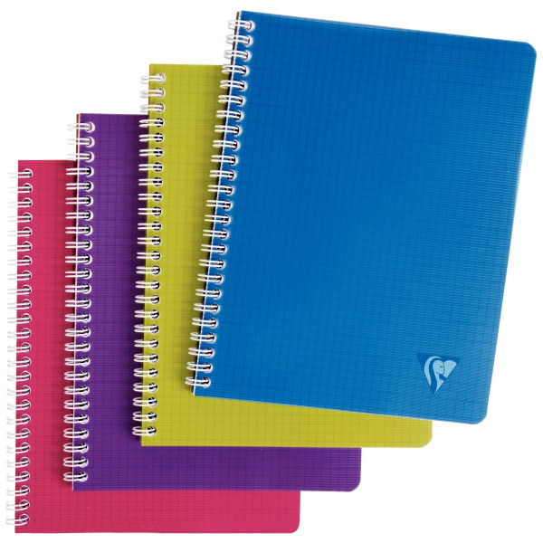Cahier à reliure intégrale 100 pages LINICOLOR INTENSIVE, format A4, quadrillé 5x5