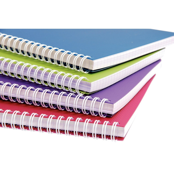 Cahier à reliure intégrale 100 pages LINICOLOR INTENSIVE, format A4, quadrillé 5x5