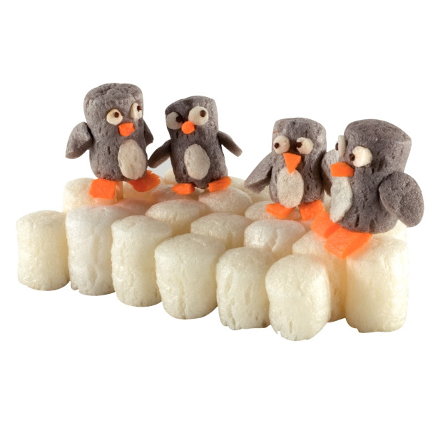 Carton de 6300 flocons PLAYMAIS EDULINE CLASSIC LARGE + accessoires