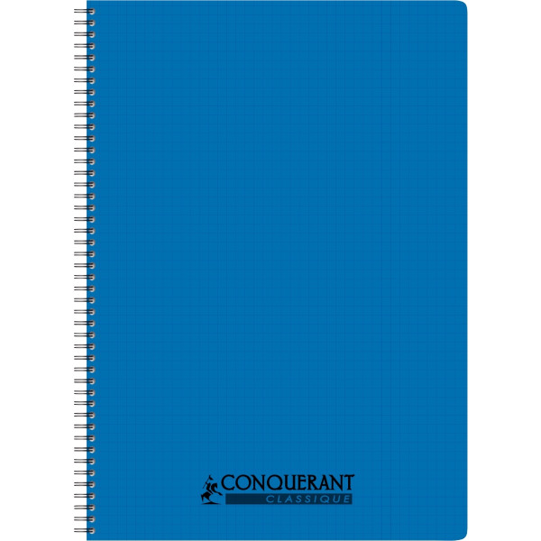 Reliure intégrale 100 pages CONQUERANT, A4, 5x5, couverture polypropylène, coloris assortis