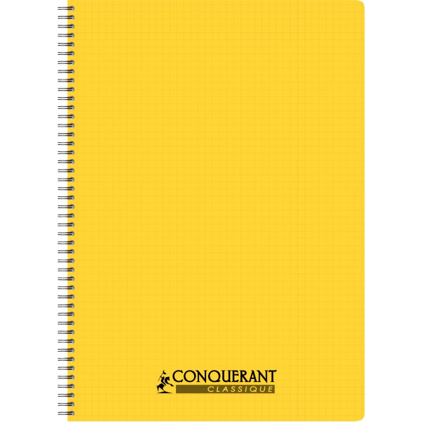 Reliure intégrale 100 pages CONQUERANT, A4, 5x5, couverture polypropylène, coloris assortis