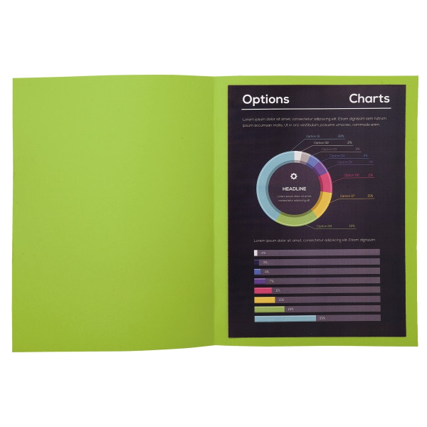 Paquet de 100 chemises 210g ROCK"S format 24x32 cm, vert