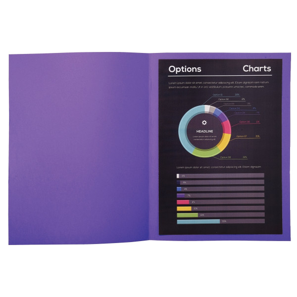 Paquet de 100 chemises 210g ROCK"S format 24x32 cm, violine