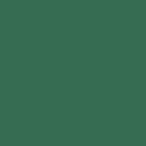 Paquet de 10 feuilles mi-teinte format 50x65cm  vert billard