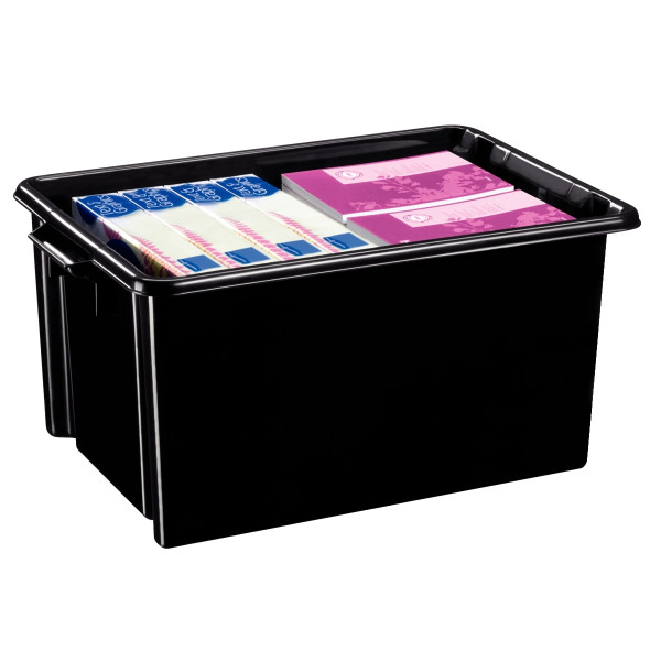 Bac de rangement 48,5L noir