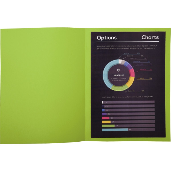 Paquet de 10 chemises 210 g ROCK"S format 24x32 cm vert