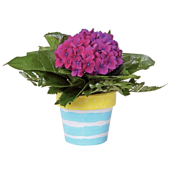 Lot de 10 pots de fleurs en carton, hauteur 10 cm